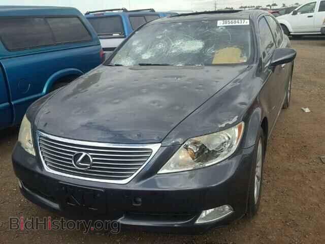 2009 LEXUS LS460 - VIN: JTHBL46F595091168 - Фото 2