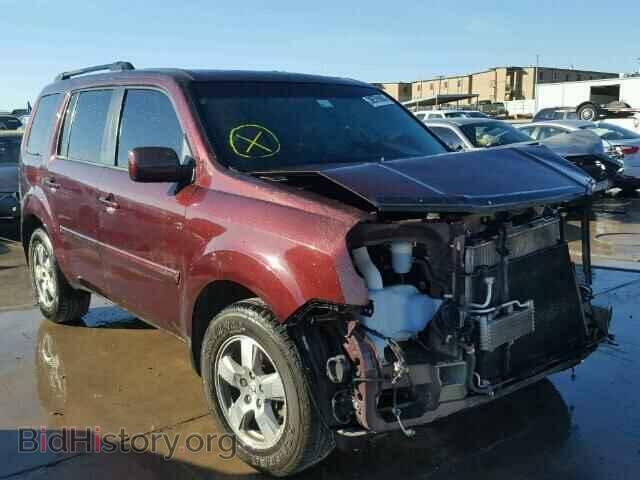 Фотография 5FNYF4H61BB021896 - HONDA PILOT 2011
