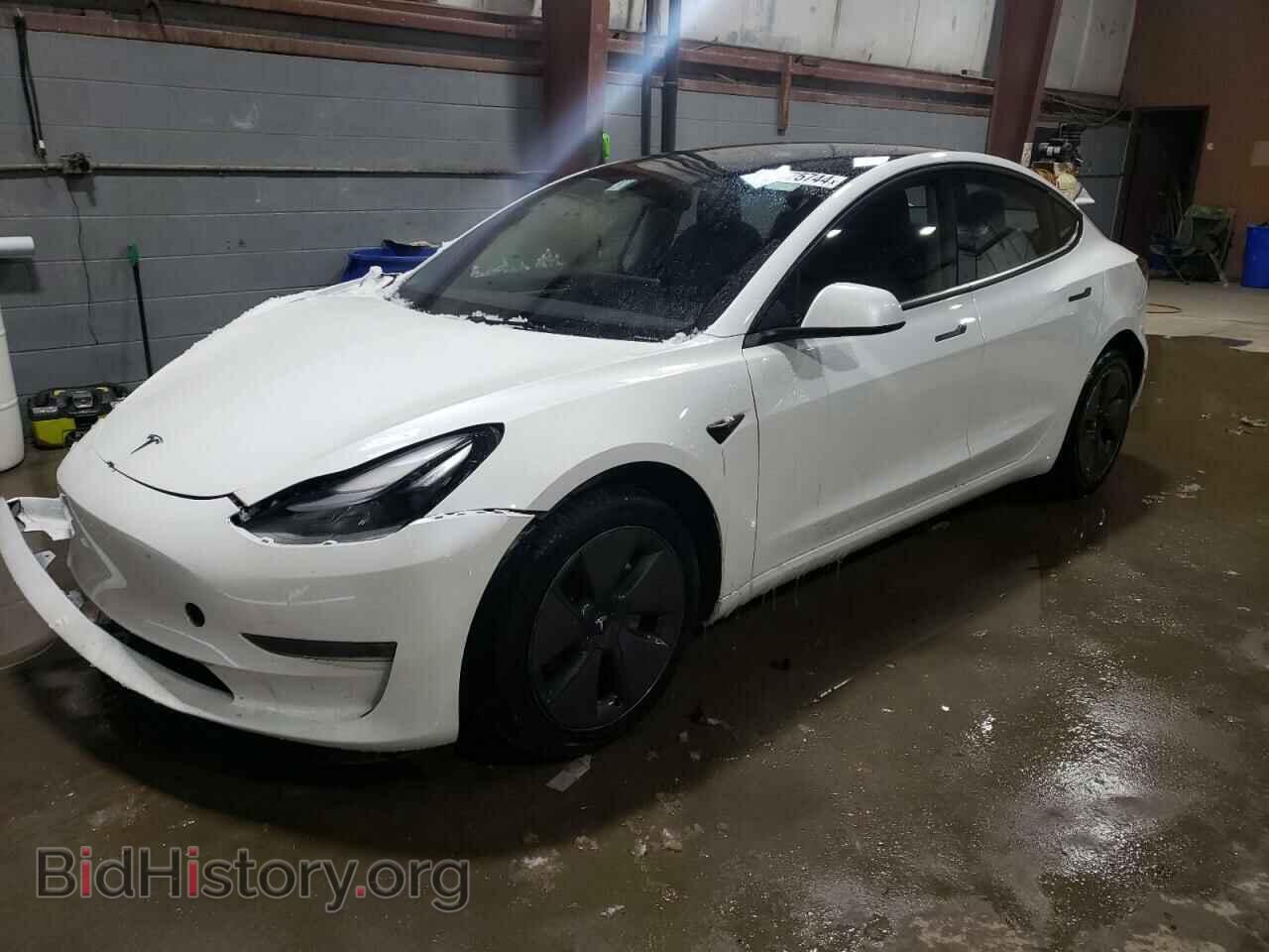 Photo 5YJ3E1EA8PF455406 - TESLA MODEL 3 2023