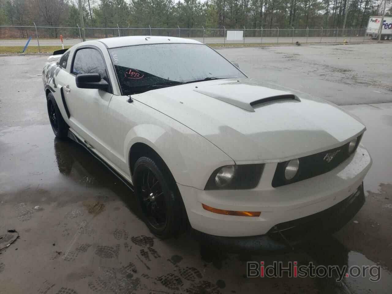 Photo 1ZVHT82H685195299 - FORD MUSTANG 2008