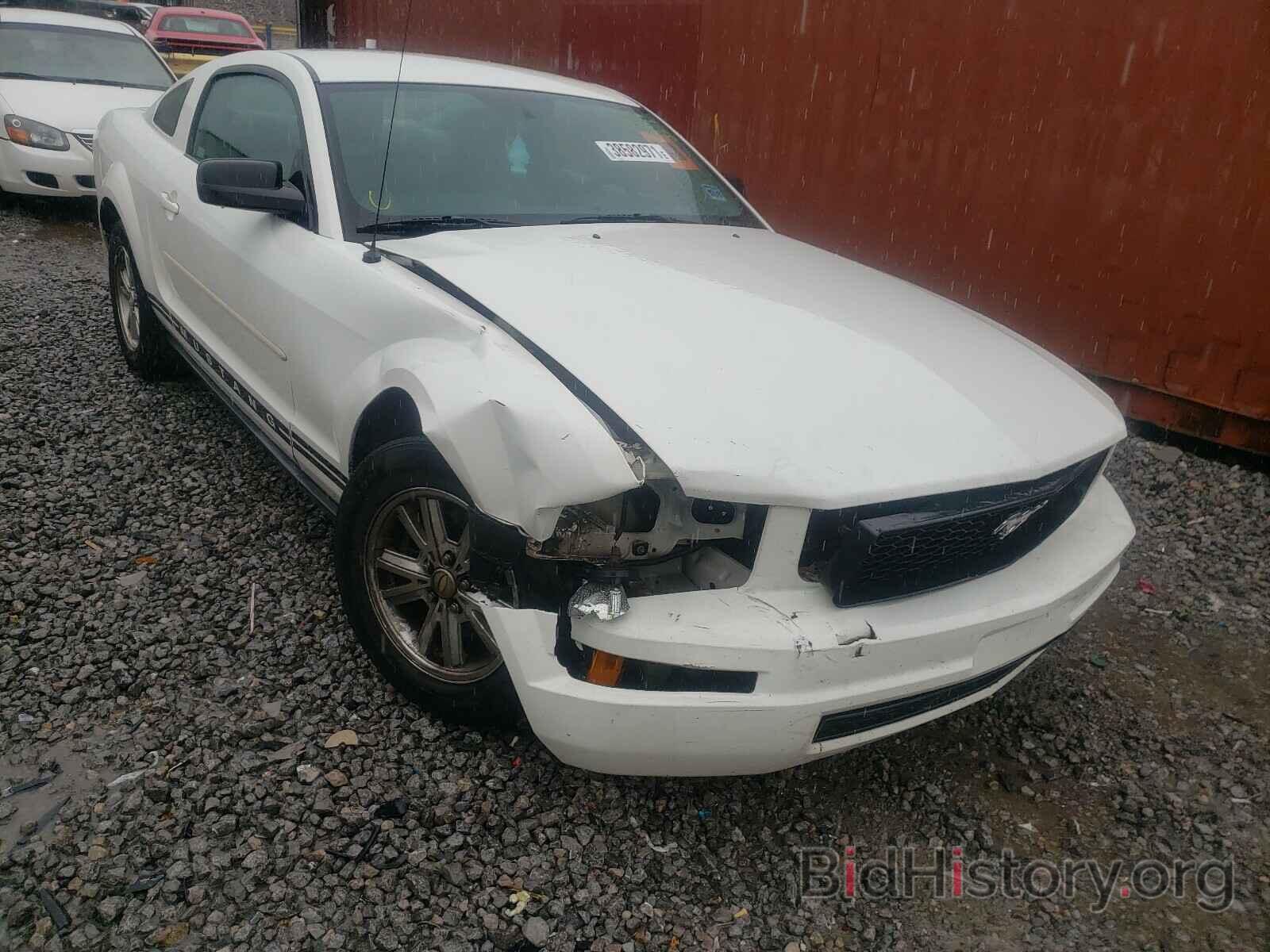 Photo 1ZVHT80N785153555 - FORD MUSTANG 2008