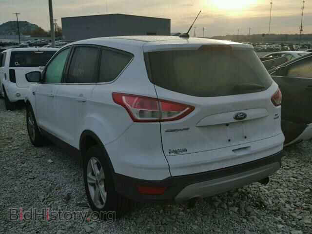 2013 FORD ESCAPE - VIN: 1FMCU9GX9DUC80195 - Фото 3