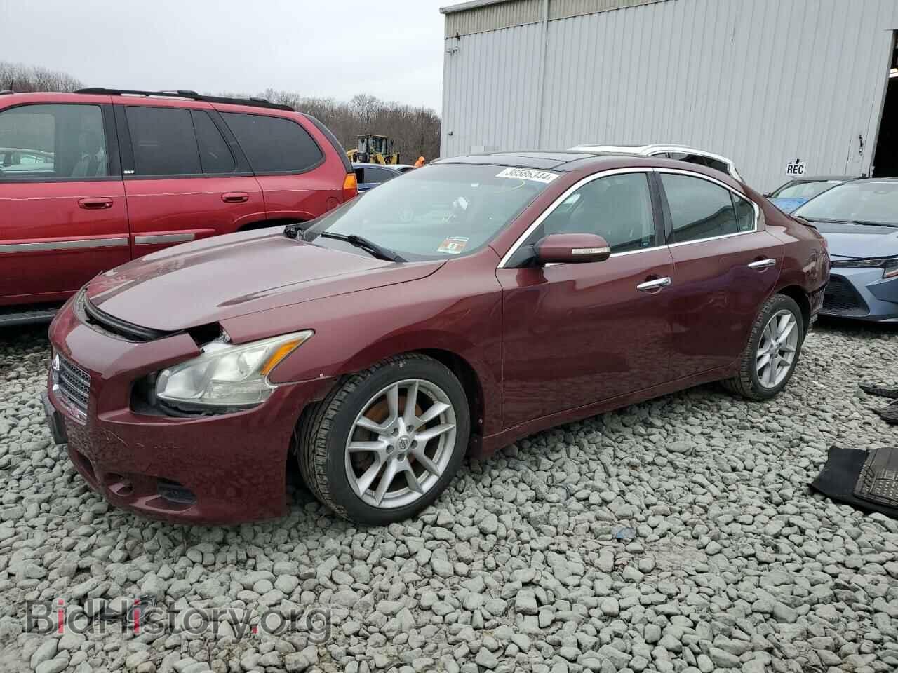 Фотография 1N4AA5AP8BC804399 - NISSAN MAXIMA 2011