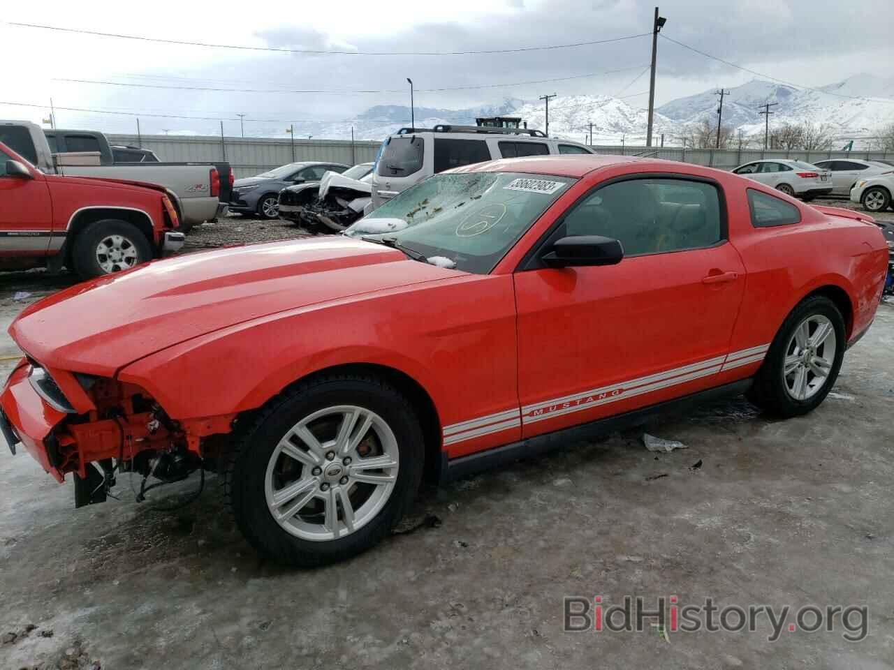 Photo 1ZVBP8AM8C5283899 - FORD MUSTANG 2012