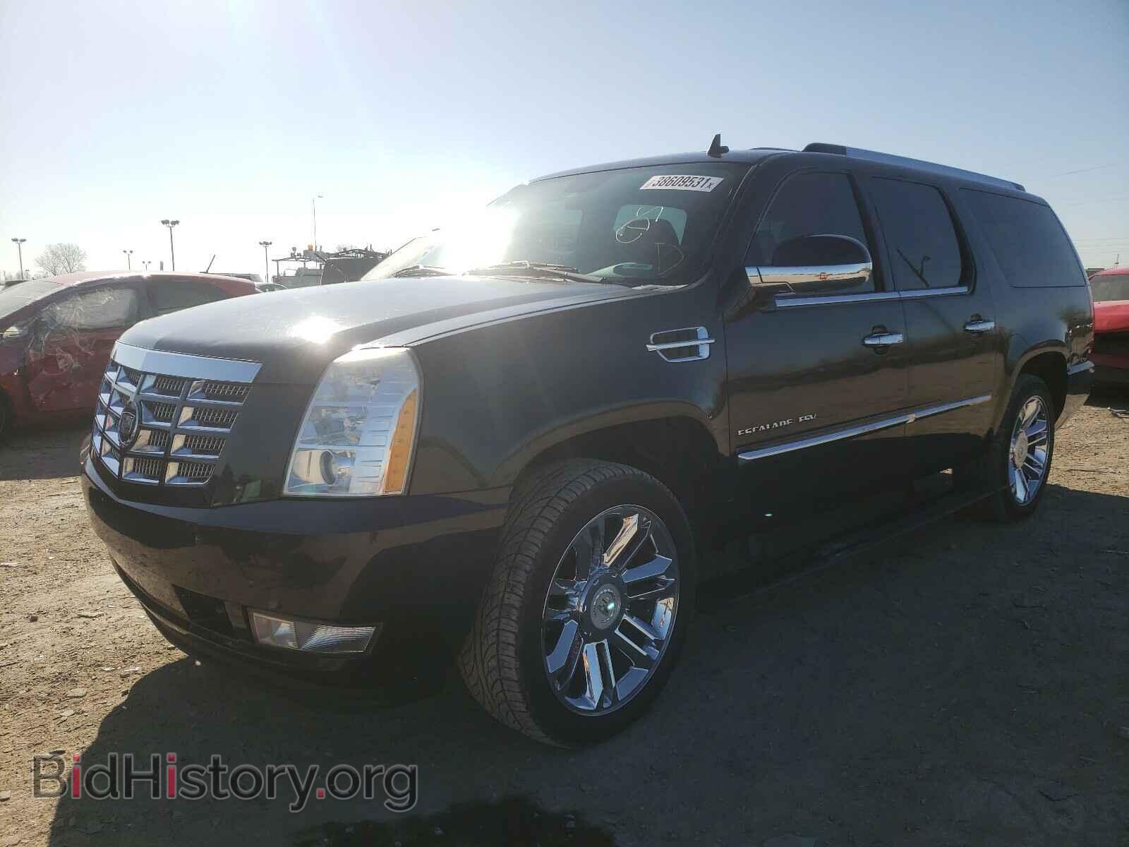 2010 CADILLAC ESCALADE - VIN: 1GYUKJEF9AR113256 - Фото 2