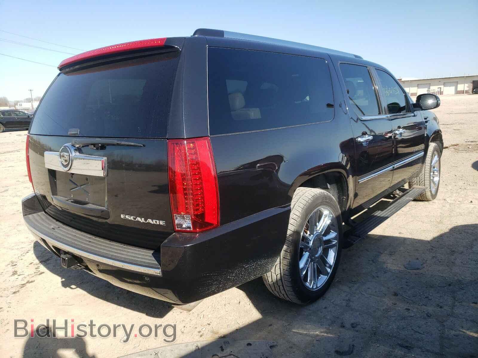 2010 CADILLAC ESCALADE - VIN: 1GYUKJEF9AR113256 - Фото 4