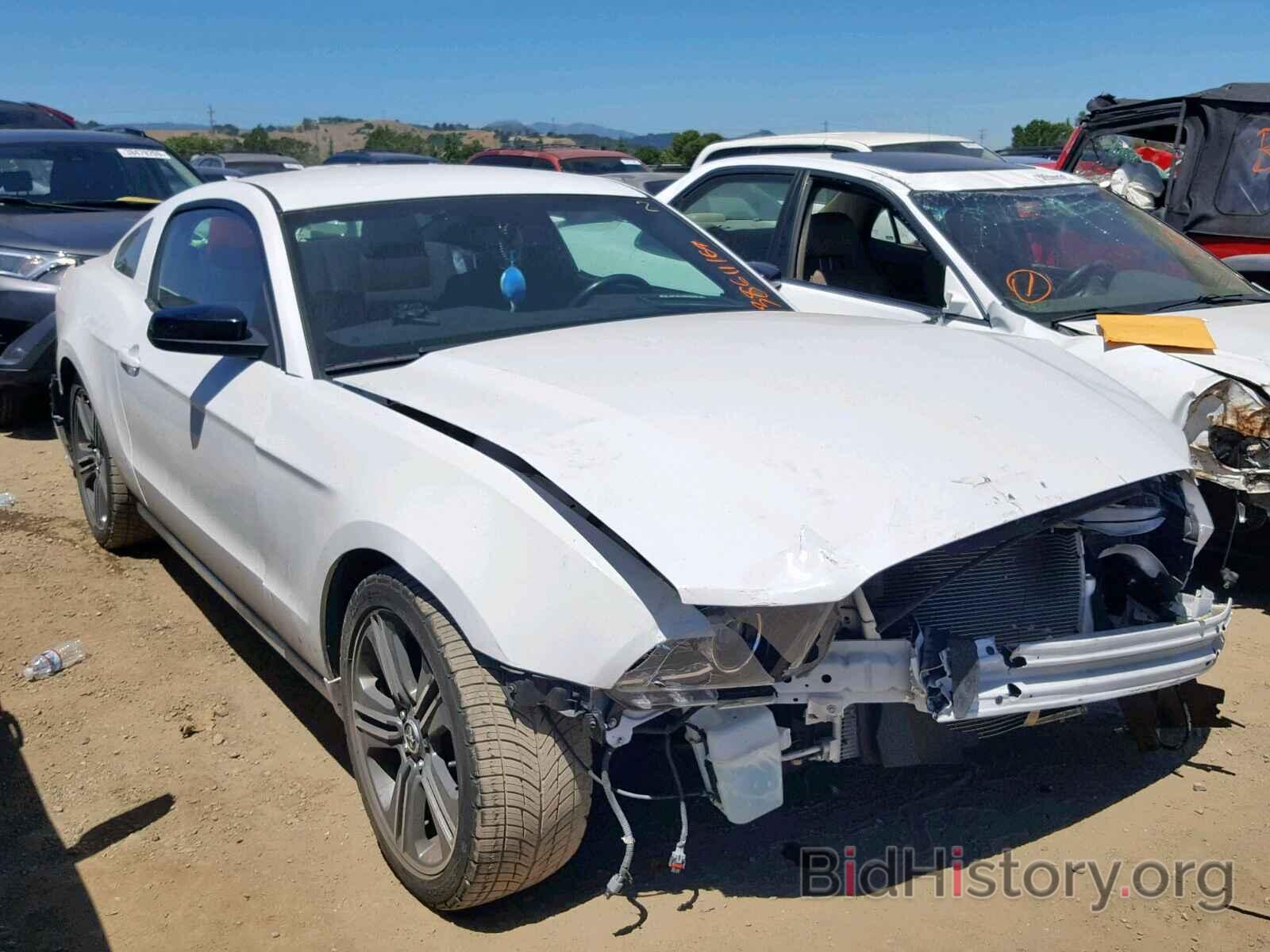 Photo 1ZVBP8AM2E5278362 - FORD MUSTANG 2014