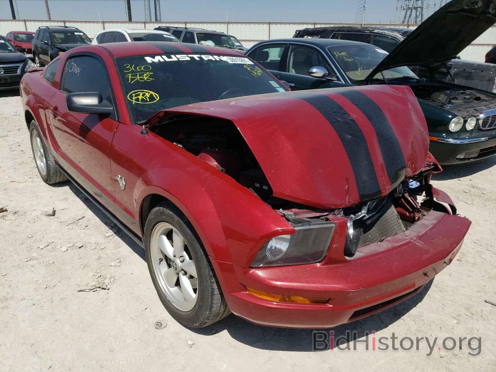 Photo 1ZVHT80N795146364 - FORD MUSTANG 2009
