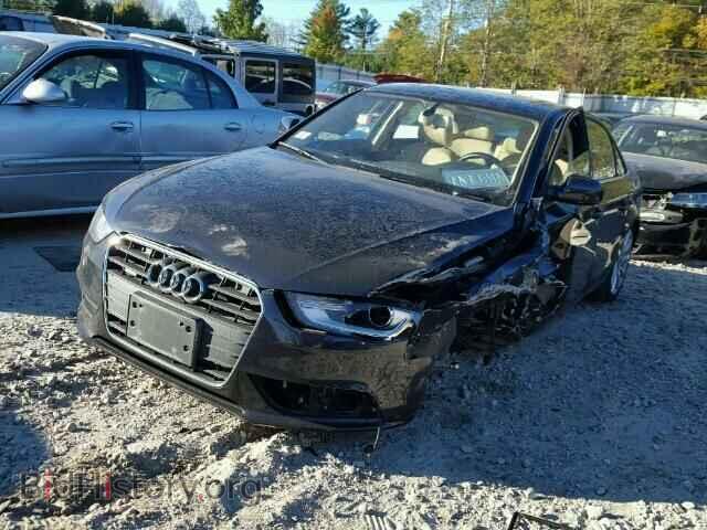2013 AUDI A4 - VIN: WAUFFAFL1DN032784 - Фото 2