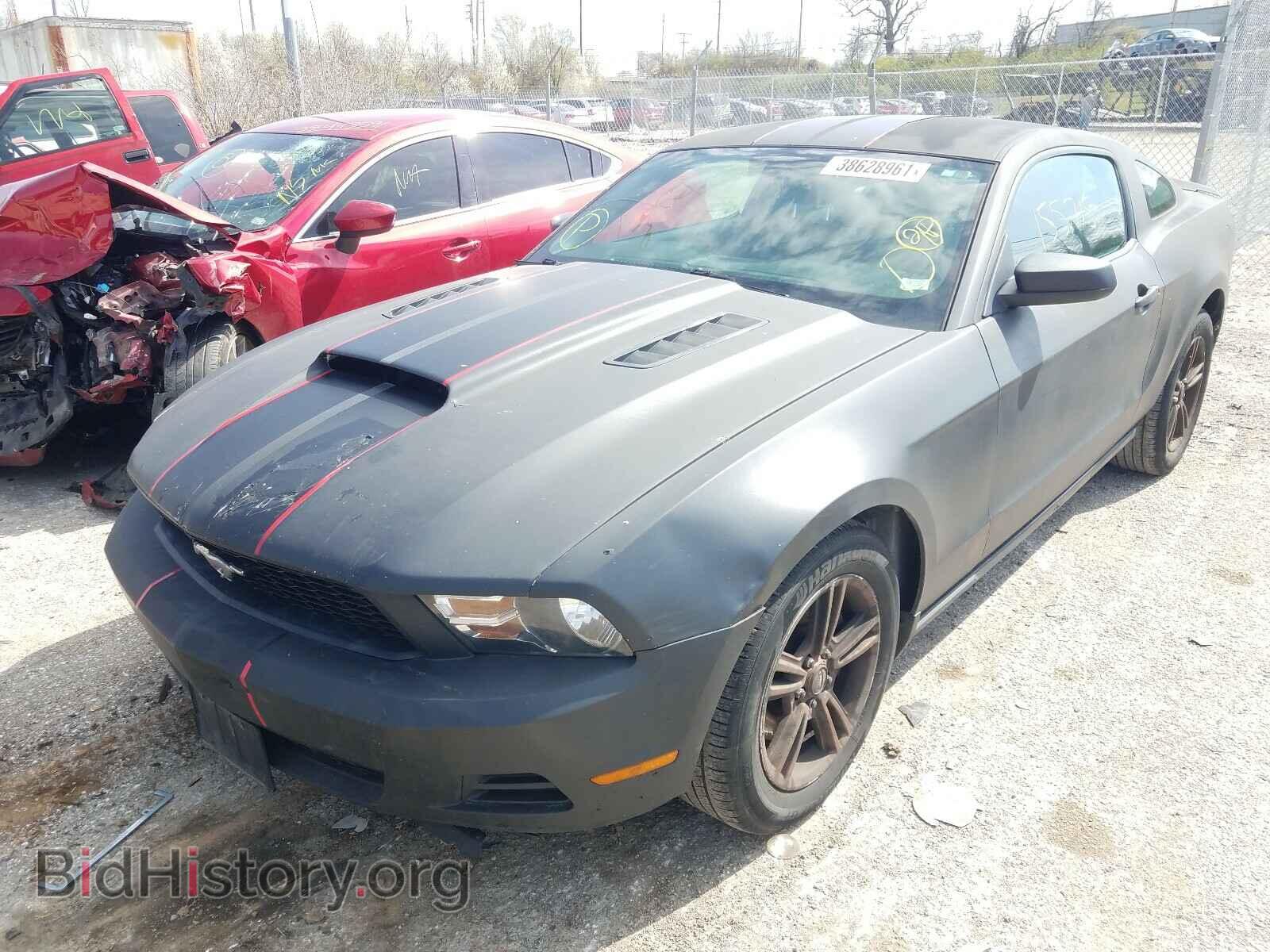 2012 FORD MUSTANG - VIN: 1ZVBP8AM9C5281899 - Фото 2