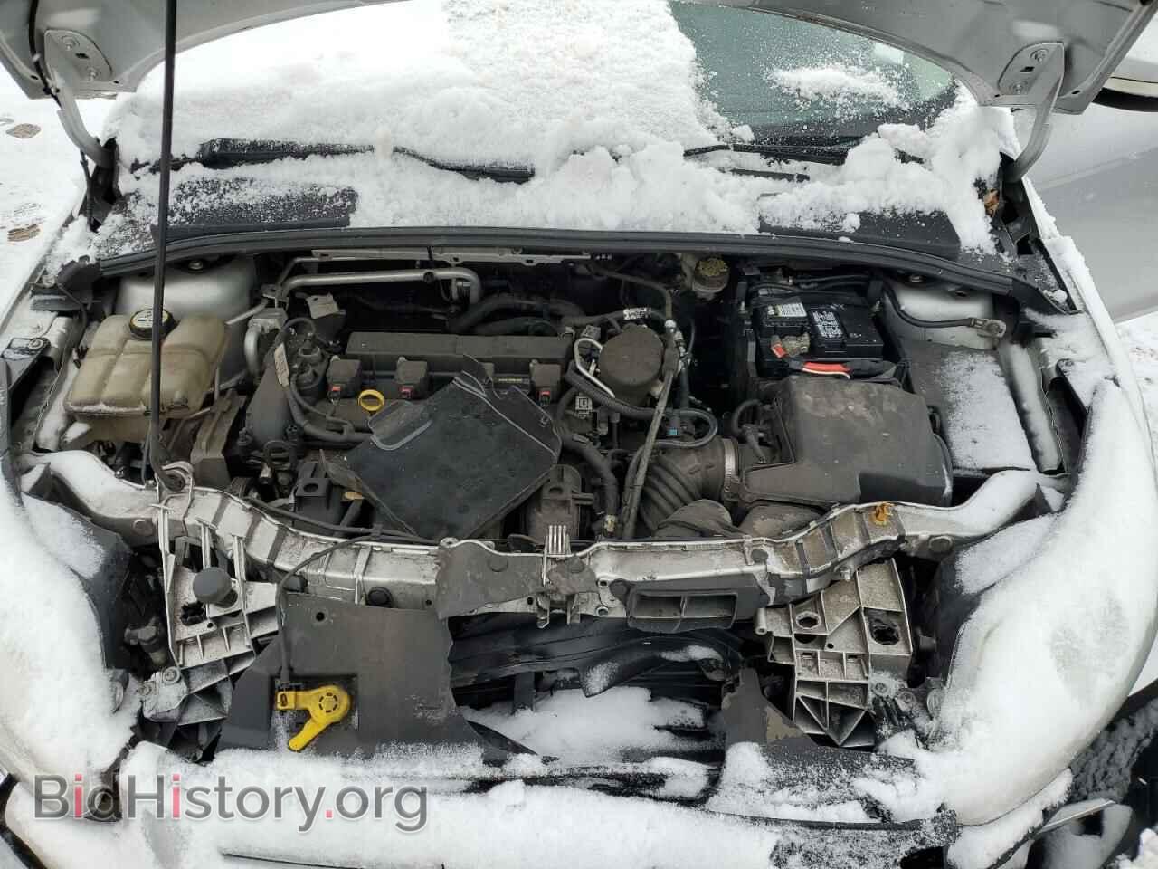 2013 FORD FOCUS - VIN: 1FADP3F28DL318210 - Фото 11