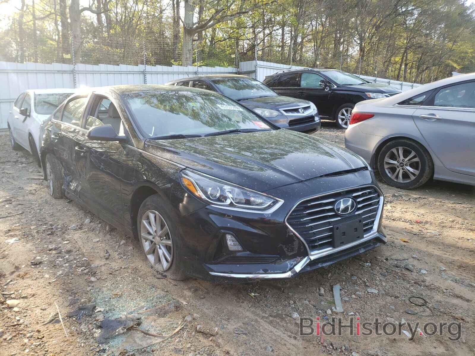 Photo 5NPE24AF5KH801927 - HYUNDAI SONATA 2019