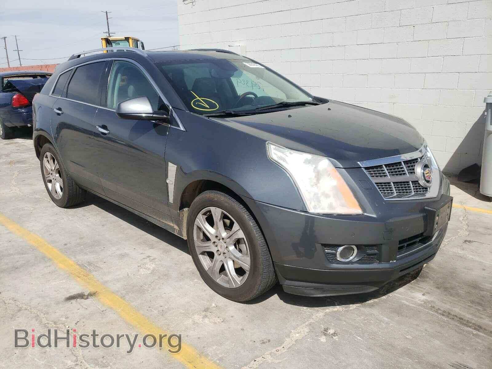 Фотография 3GYFNCEY1AS522331 - CADILLAC SRX 2010