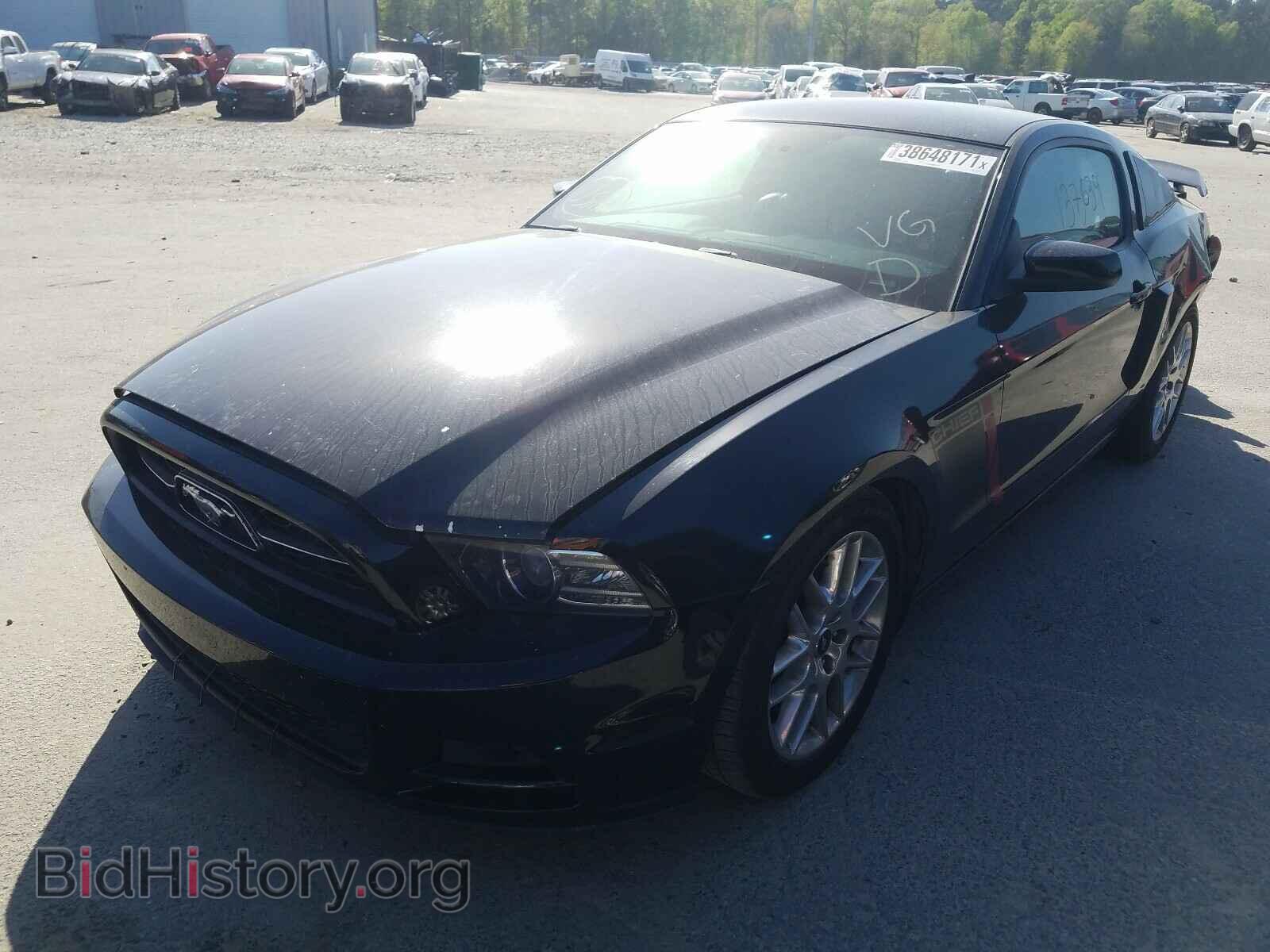 2013 FORD MUSTANG - VIN: 1ZVBP8AM3D5262217 - Фото 2