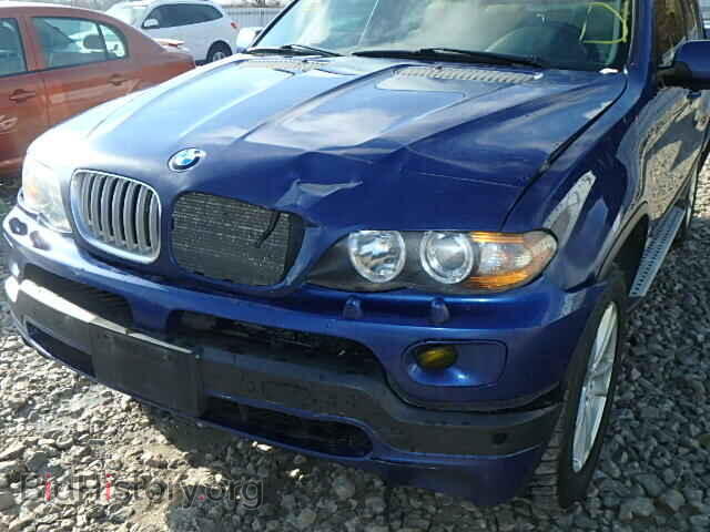 2005 BMW X5 - VIN: 5UXFA93525LE83145 - Фото 9