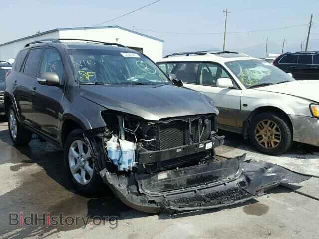 Фотография 2T3YK4DV8BW010879 - TOYOTA RAV4 2011