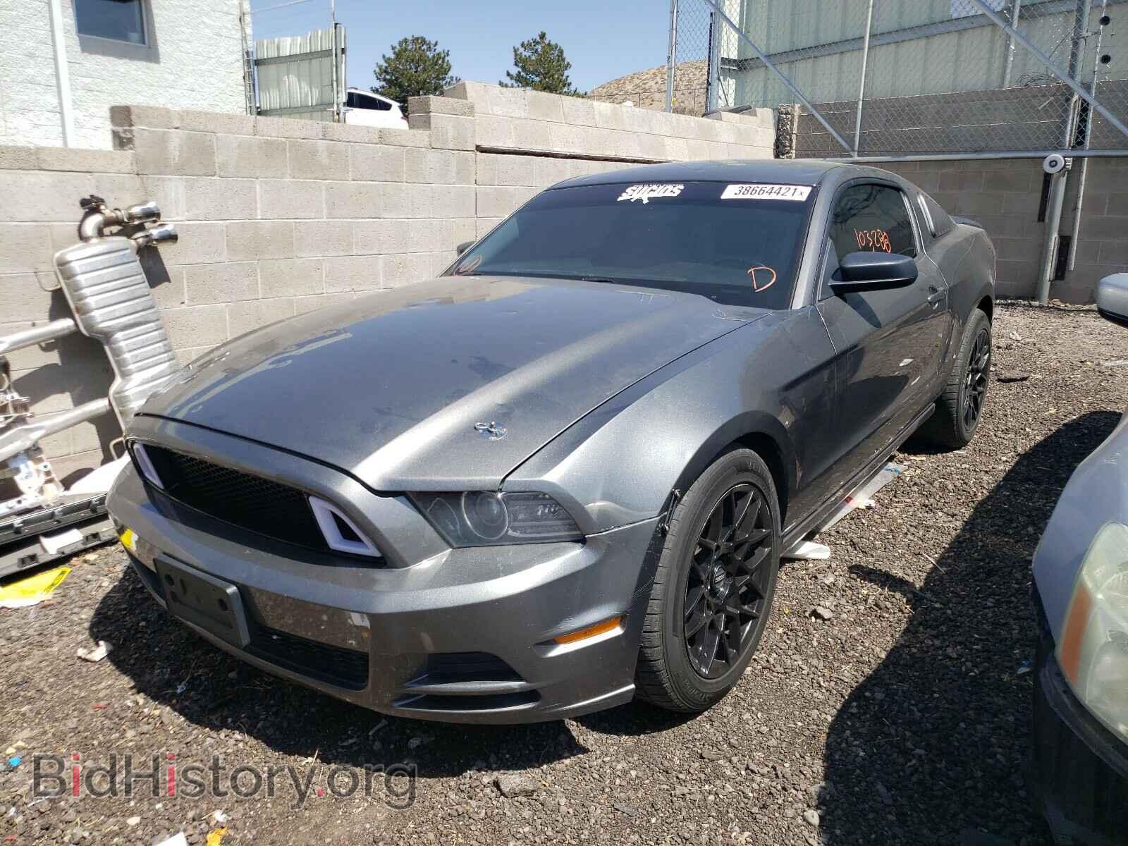 2013 FORD MUSTANG - VIN: 1ZVBP8AM2D5269319 - Фото 2
