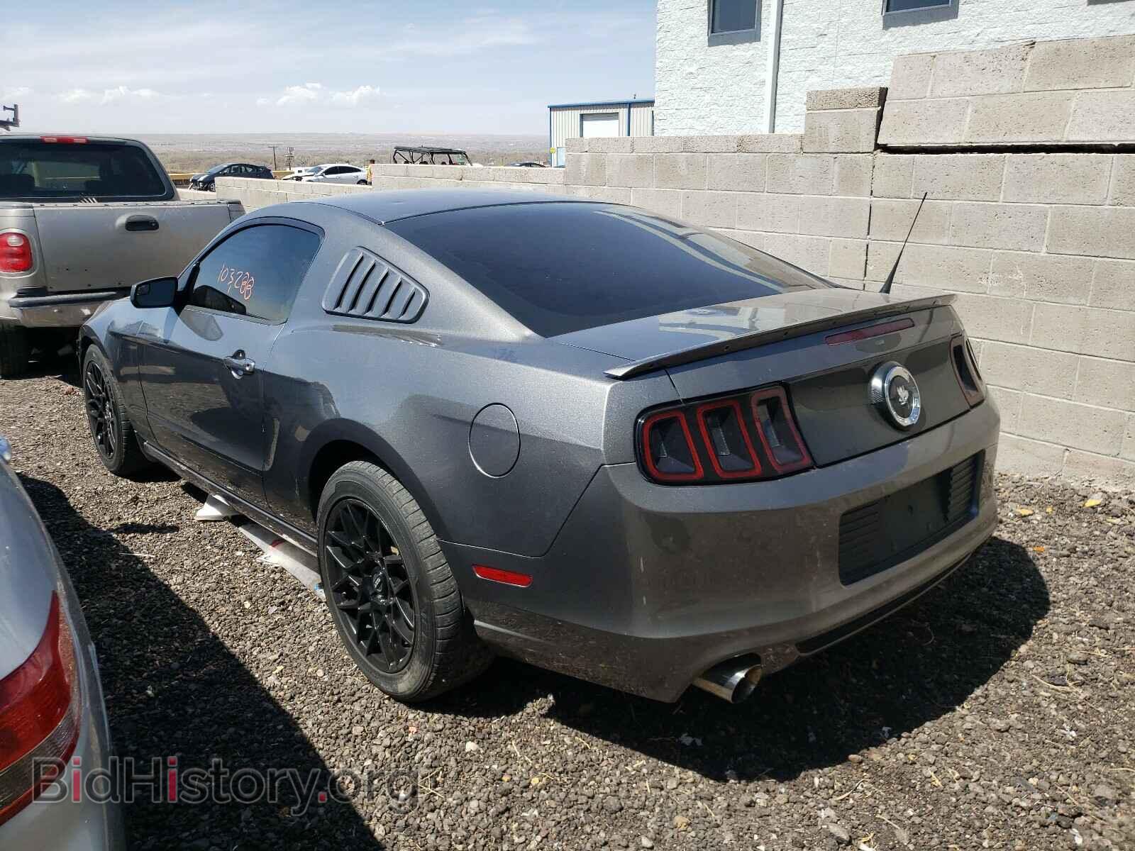 2013 FORD MUSTANG - VIN: 1ZVBP8AM2D5269319 - Фото 3