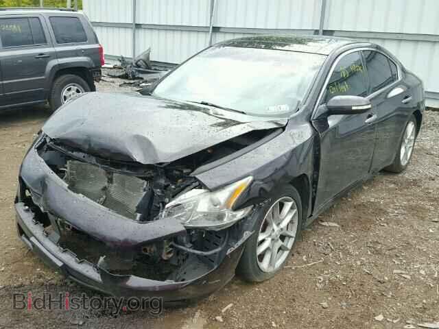 2010 NISSAN MAXIMA - VIN: 1N4AA5AP3AC818287 - Фото 2