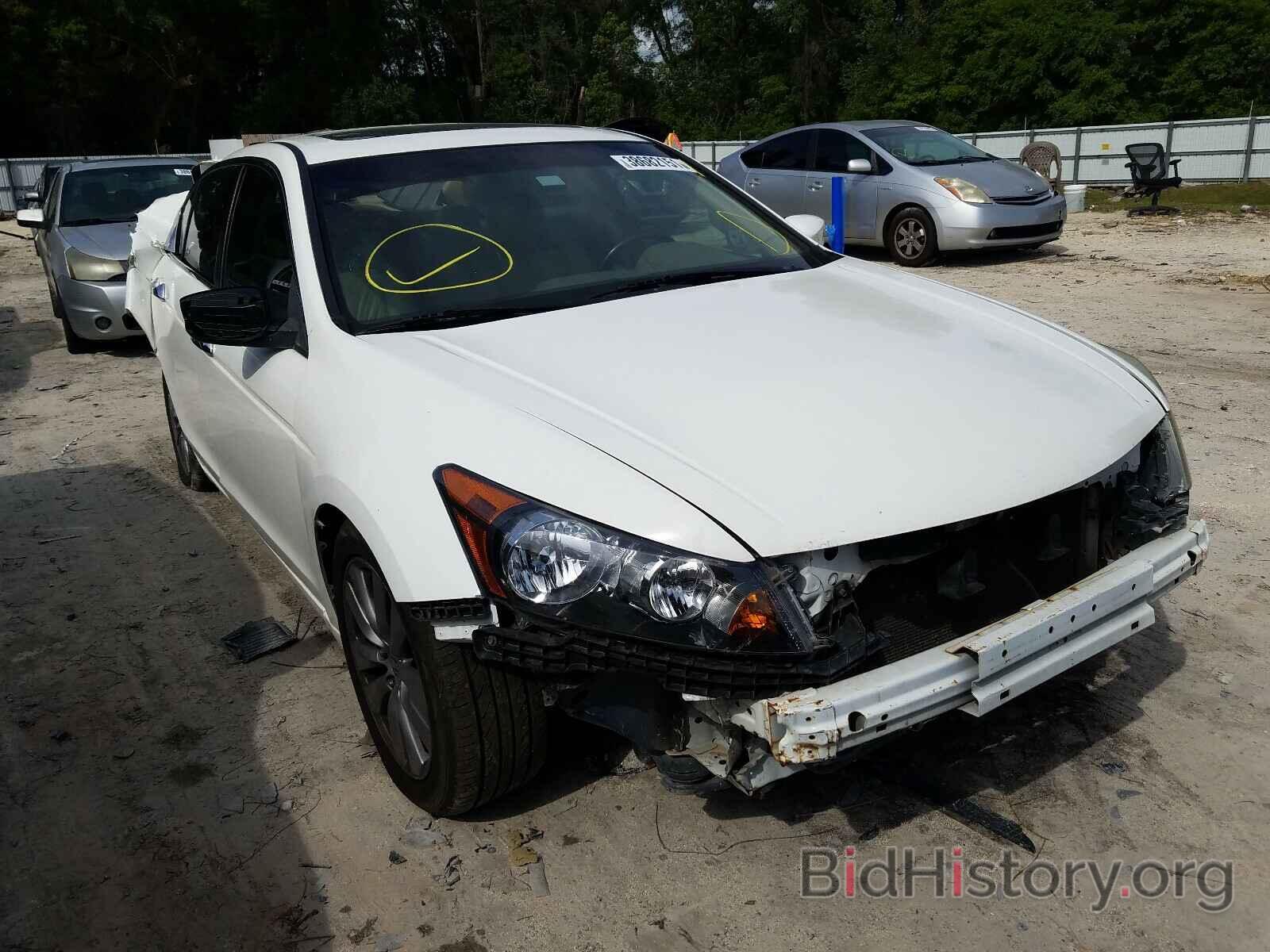 Photo 1HGCP2F86AA114132 - HONDA ALL OTHER 2010