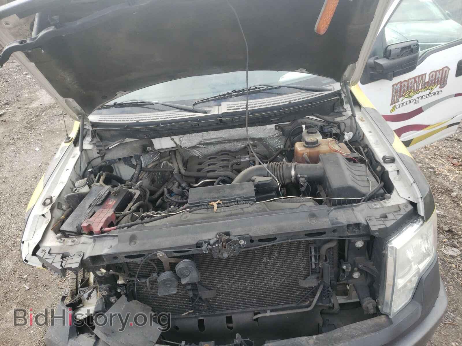 2011 FORD F150 - VIN: 1FTFX1EF3BFB53013 - Фото 7