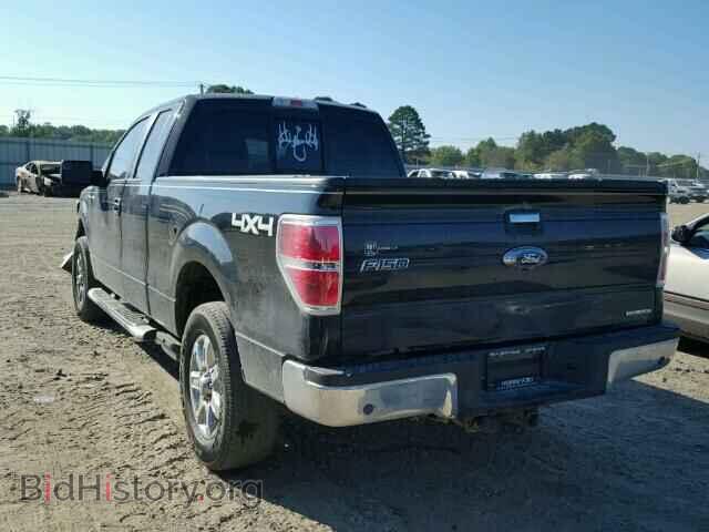 2013 FORD F150 - VIN: 1FTFX1EF6DFA77743 - Фото 3
