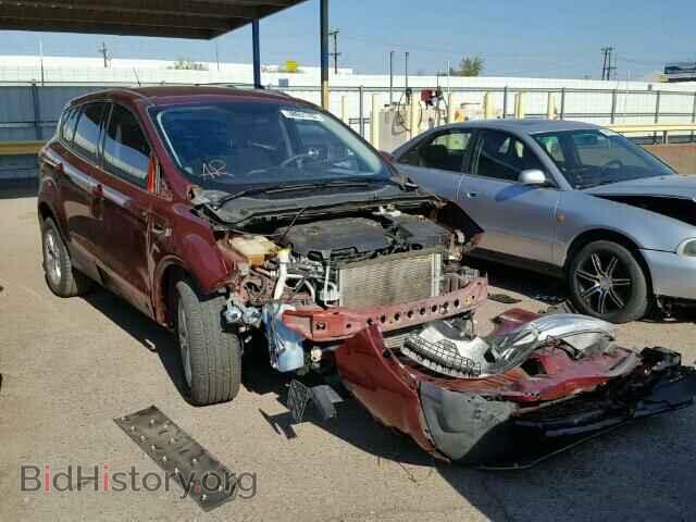 Фотография 1FMCU0GX4EUC53502 - FORD ESCAPE 2014