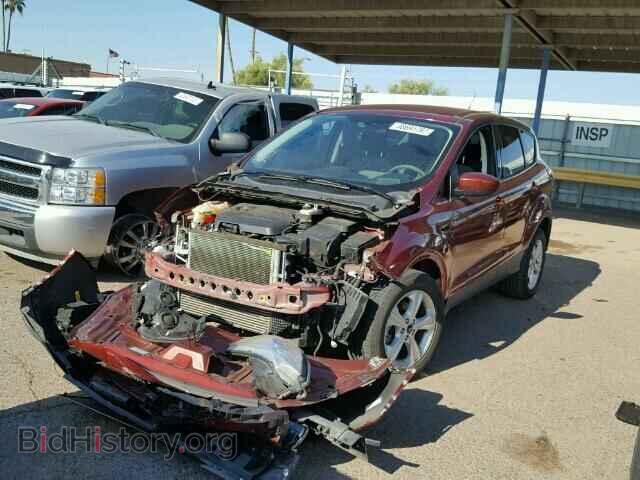 2014 FORD ESCAPE - VIN: 1FMCU0GX4EUC53502 - Фото 2