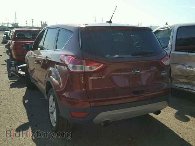 2014 FORD ESCAPE - VIN: 1FMCU0GX4EUC53502 - Фото 3