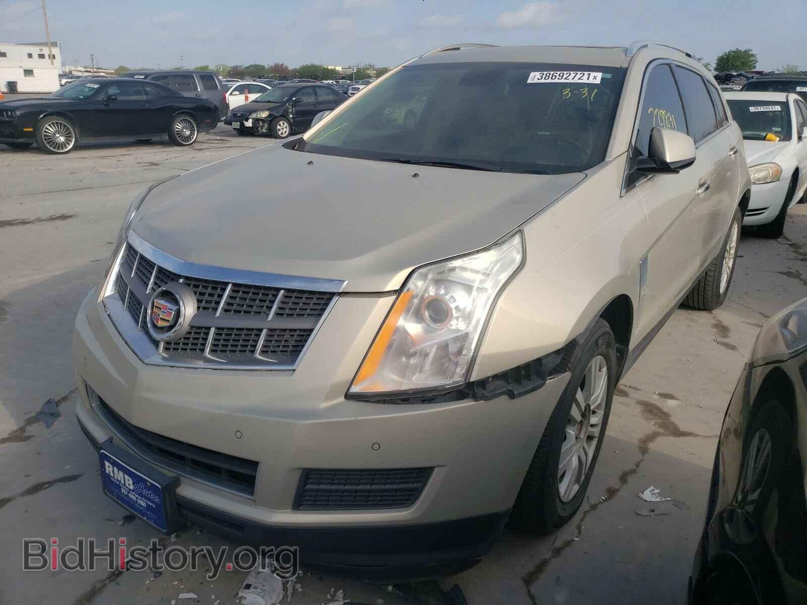 2011 CADILLAC SRX - VIN: 3GYFNAEY4BS552302 - Фото 2
