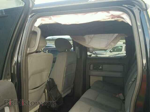 2013 FORD F150 - VIN: 1FTFW1EF6DFD34502 - Фото 10