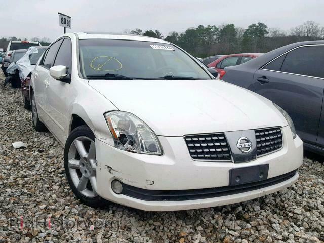 Photo 1N4BA41E96C856448 - NISSAN MAXIMA 2006