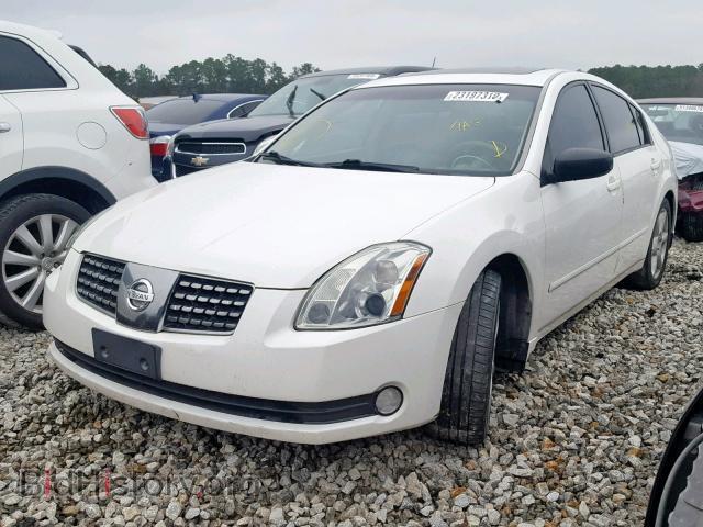 2006 NISSAN MAXIMA - VIN: 1N4BA41E96C856448 - Фото 2