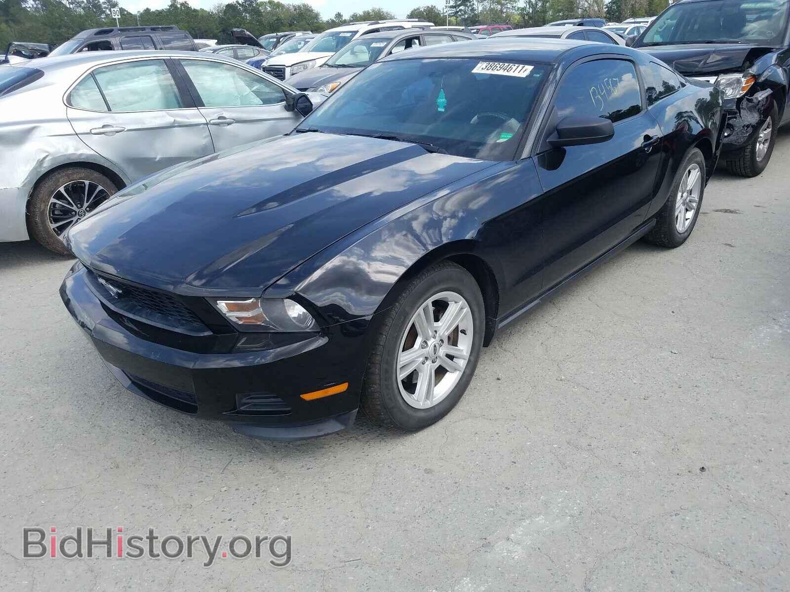 2012 FORD MUSTANG - VIN: 1ZVBP8AM5C5264257 - Фото 2