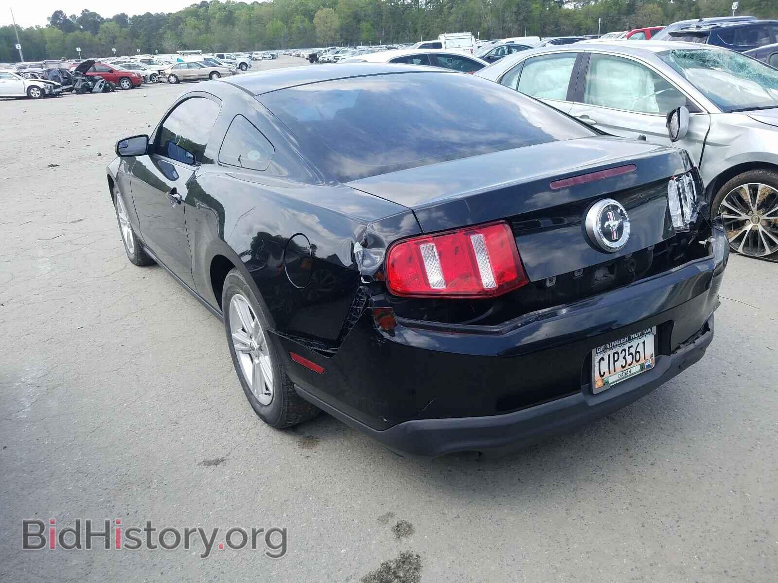 2012 FORD MUSTANG - VIN: 1ZVBP8AM5C5264257 - Фото 3