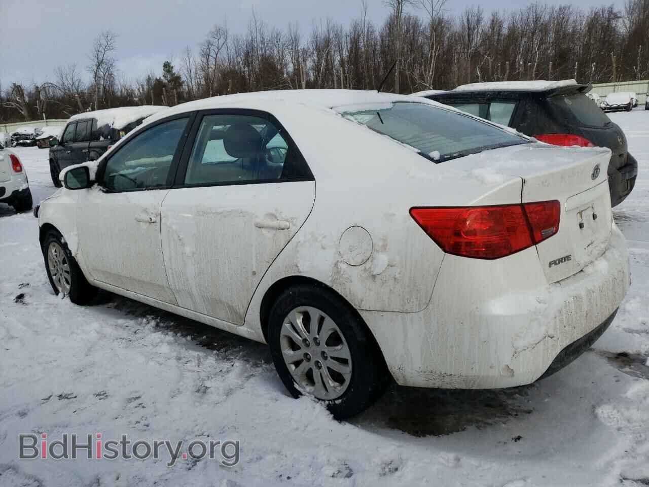 2012 KIA FORTE - VIN: KNAFU4A29C5597482 - Фото 2