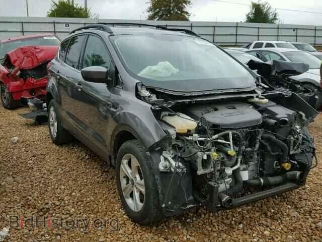 Фотография 1FMCU0G91DUD09105 - FORD ESCAPE 2013