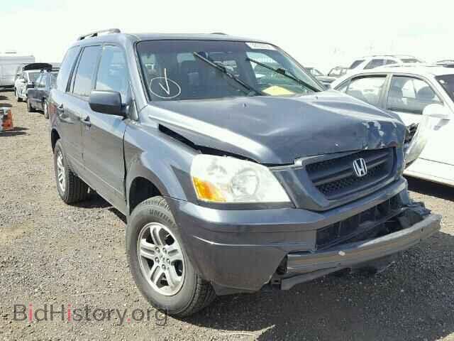 Фотография 5FNYF18605B057193 - HONDA PILOT 2005