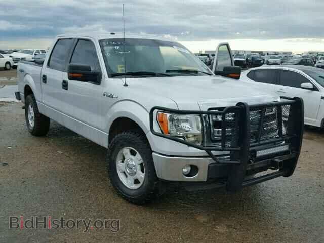 Фотография 1FTFW1EF4DFD81964 - FORD F150 2013