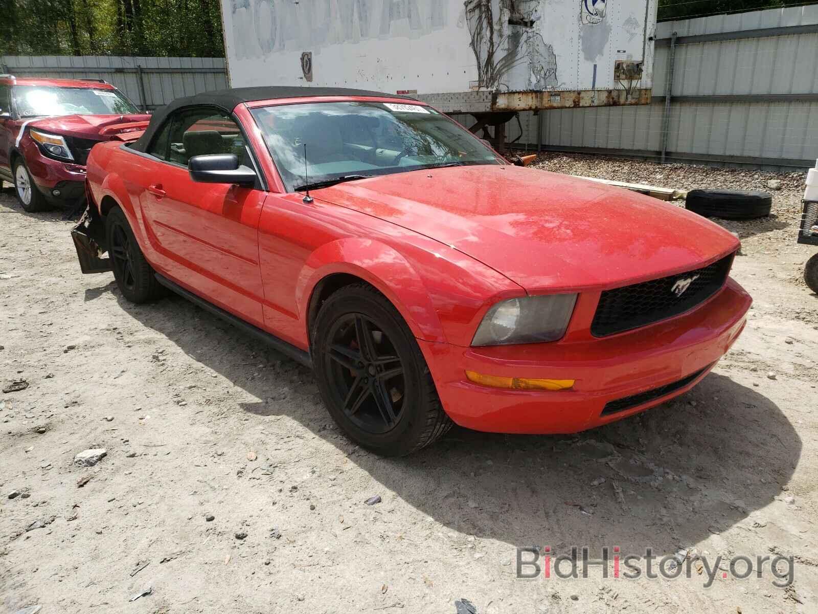 Photo 1ZVFT84NX65217781 - FORD MUSTANG 2006