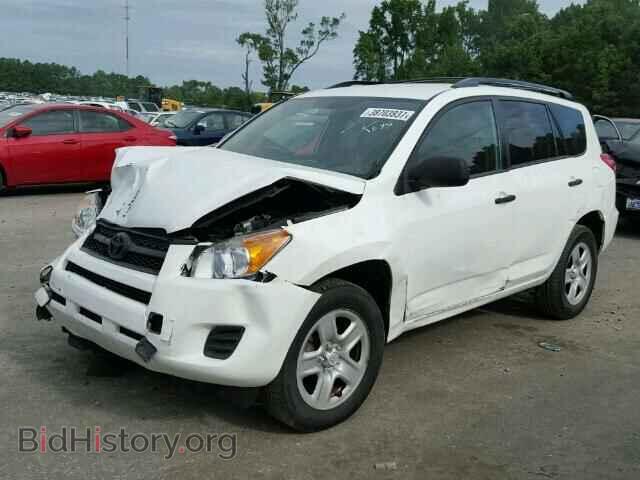 2012 TOYOTA RAV4 - VIN: 2T3BF4DV2CW215710 - Фото 2