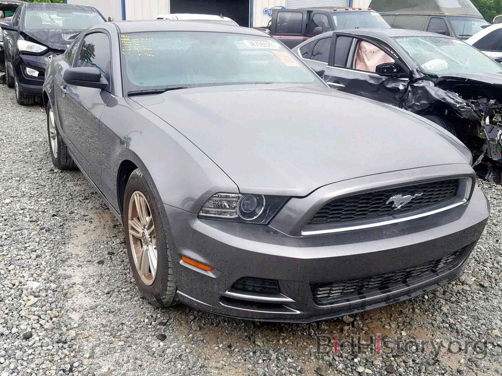 Photo 1ZVBP8AM8E5277586 - FORD MUSTANG 2014