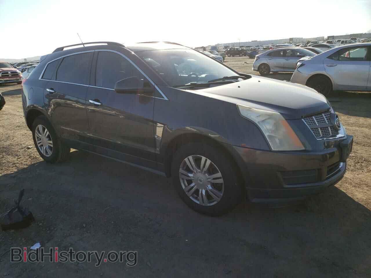 2011 CADILLAC SRX - VIN: 3GYFNGEY5BS505248 - Фото 4
