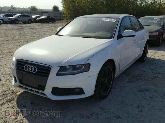 2010 AUDI A4 - VIN: WAUBFAFL5AN007736 - Фото 2