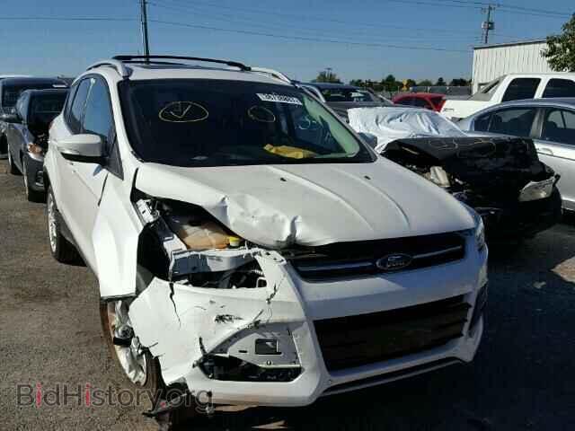 Фотография 1FMCU0J98EUA92629 - FORD ESCAPE 2014