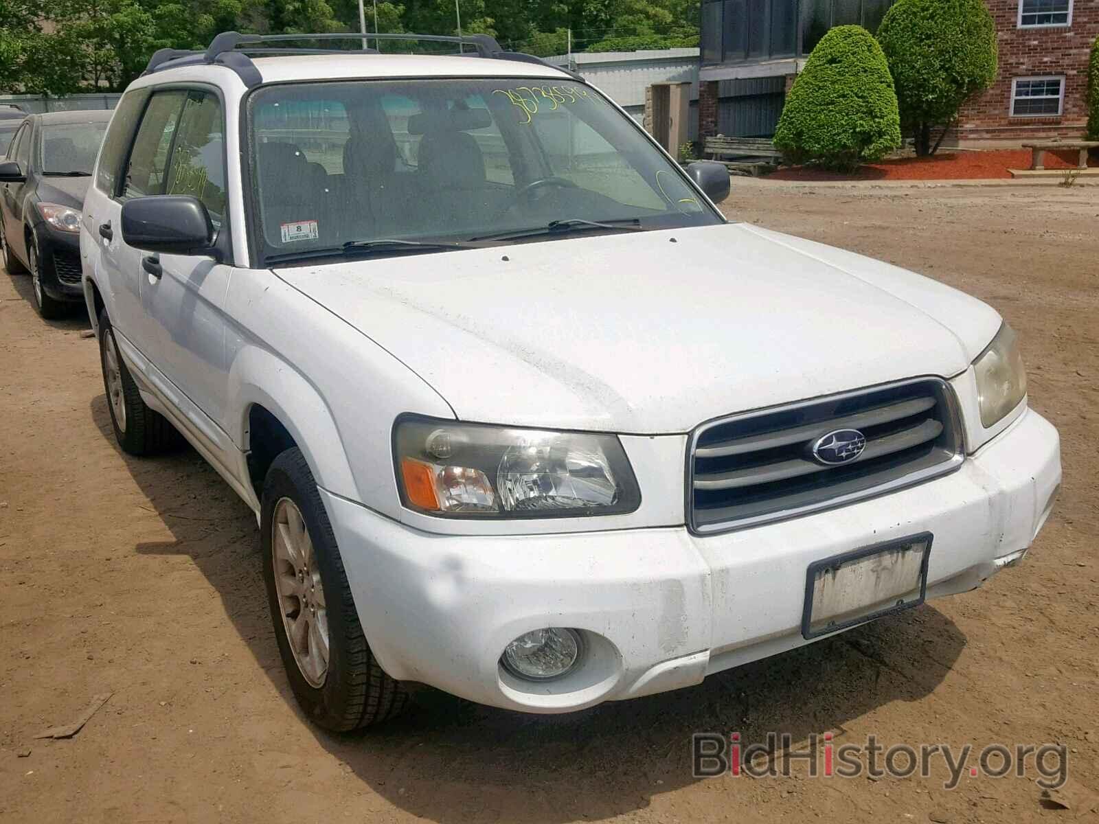 Photo JF1SG65655H743062 - SUBARU FORESTER 2005