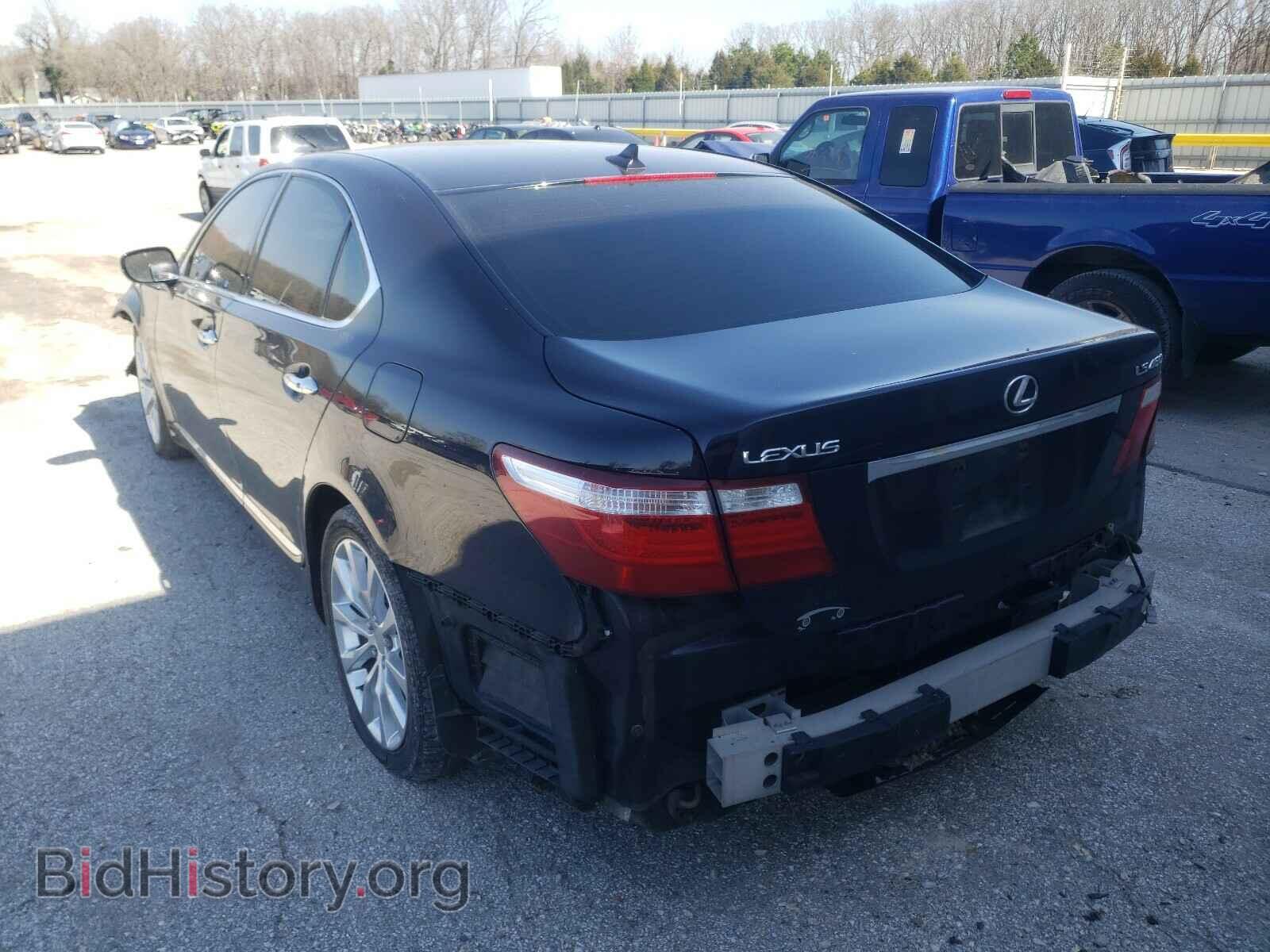 2009 LEXUS LS460 - VIN: JTHBL46F095087125 - Фото 3