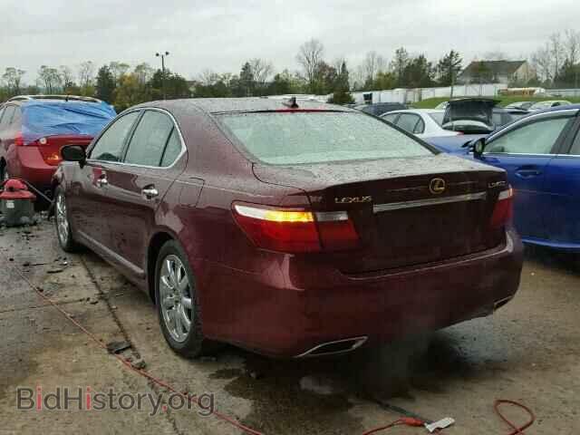 2007 LEXUS LS460 - VIN: JTHBL46F875034007 - Фото 3