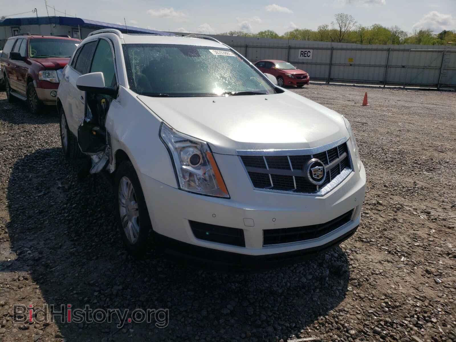 Фотография 3GYFNAE36CS632576 - CADILLAC SRX 2012