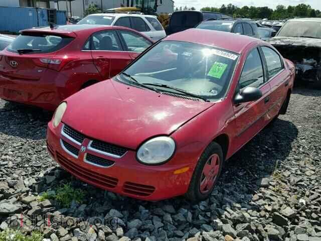 2005 DODGE NEON - VIN: 1B3ES26C95D102170 - Фото 2